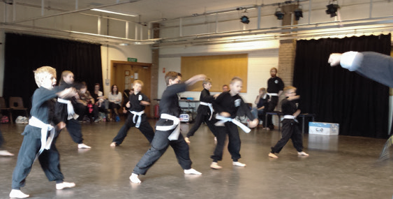 Local Kung Fu Club Gets Grading Success in 2016
